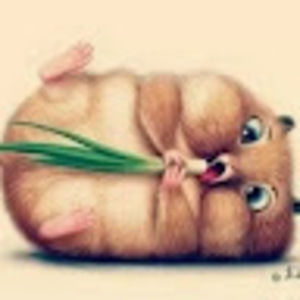 Meet your Posher, Summer